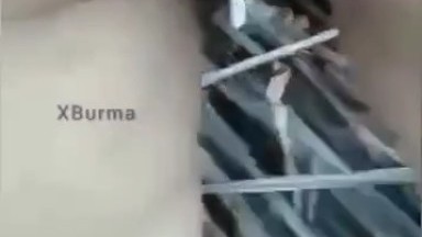 mesum di ladang padi